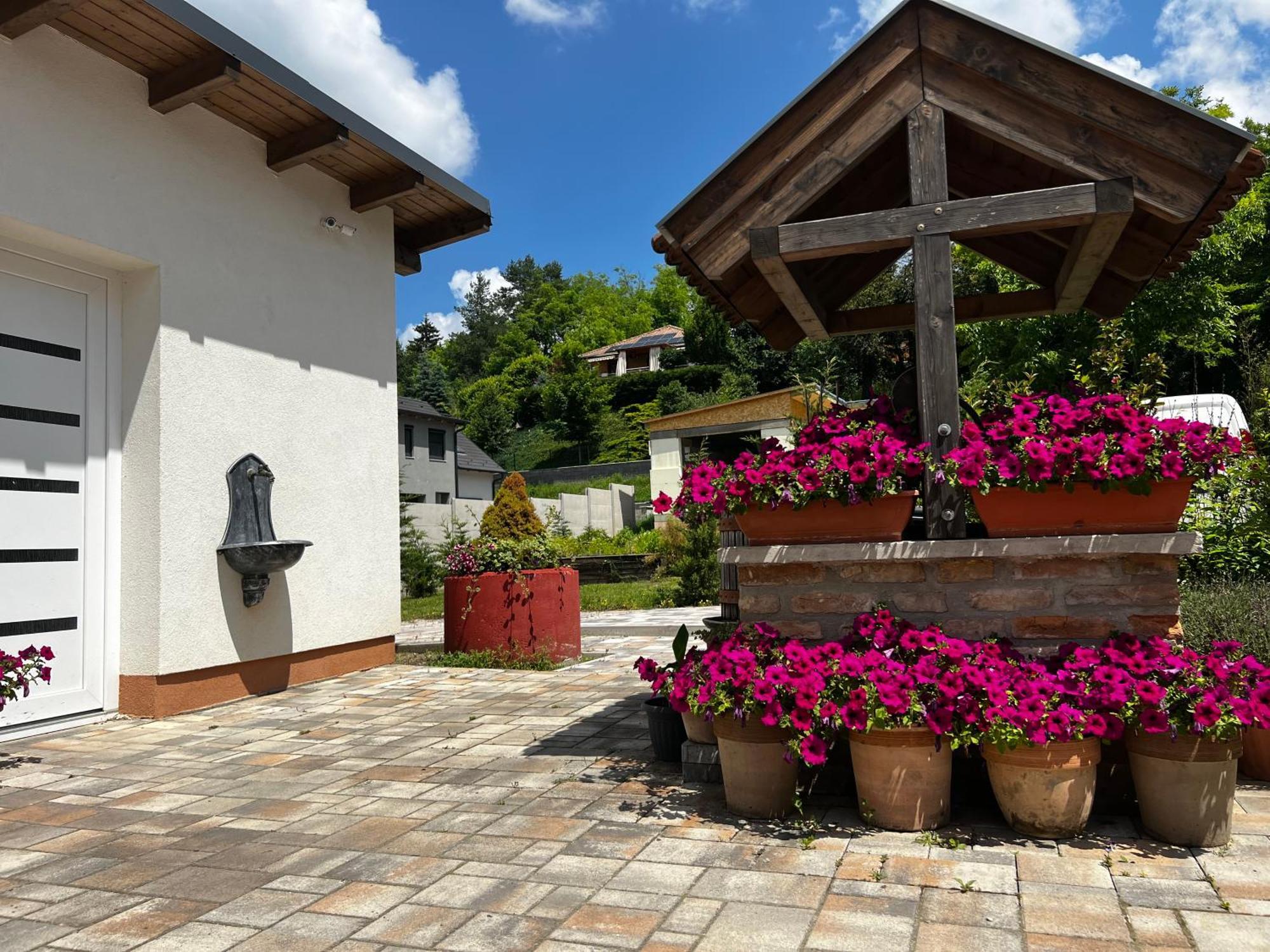 Dreko Panzio & Borbisztro Bed and Breakfast Győrújbarát Εξωτερικό φωτογραφία