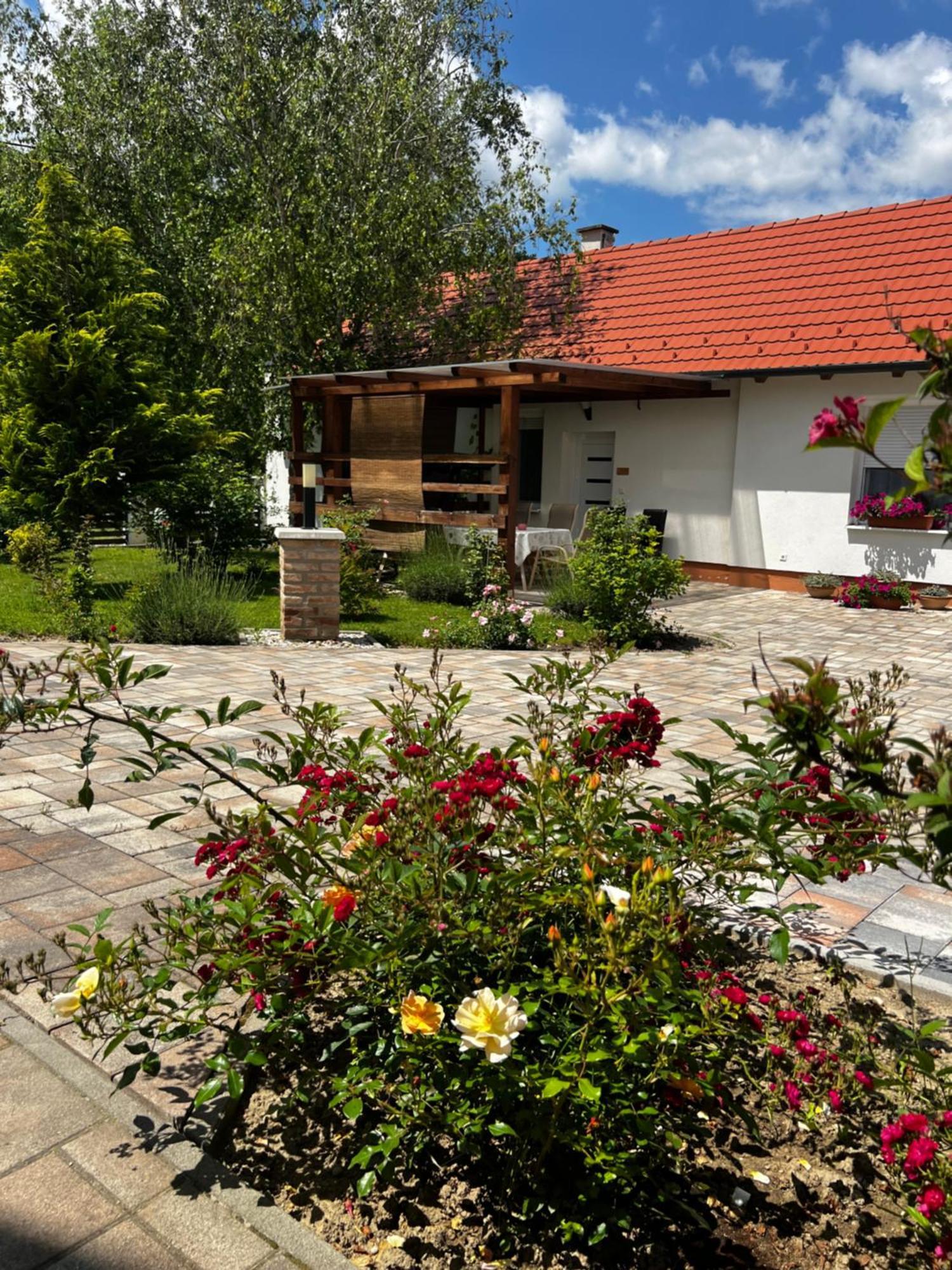 Dreko Panzio & Borbisztro Bed and Breakfast Győrújbarát Εξωτερικό φωτογραφία
